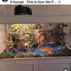 Reptile Tank iguana