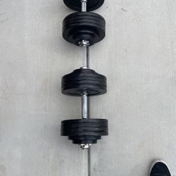 100 Pounds Weights Set Plus Regular Barbell $400 Obo