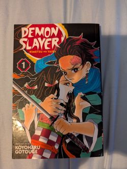 Demon Slayer Vol.1 Manga