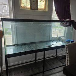 220 Gallon Aquarium