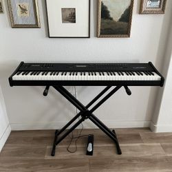 Alesis QS8.1 Synthesizer Keyboard