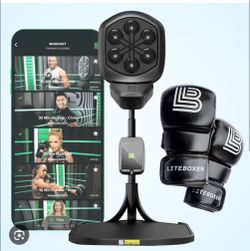 Liteboxer machine