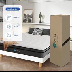 Queen Mattress Memory Foam 