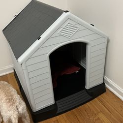 New Dog House (indoor or outdoor)
