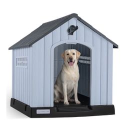 Dog House