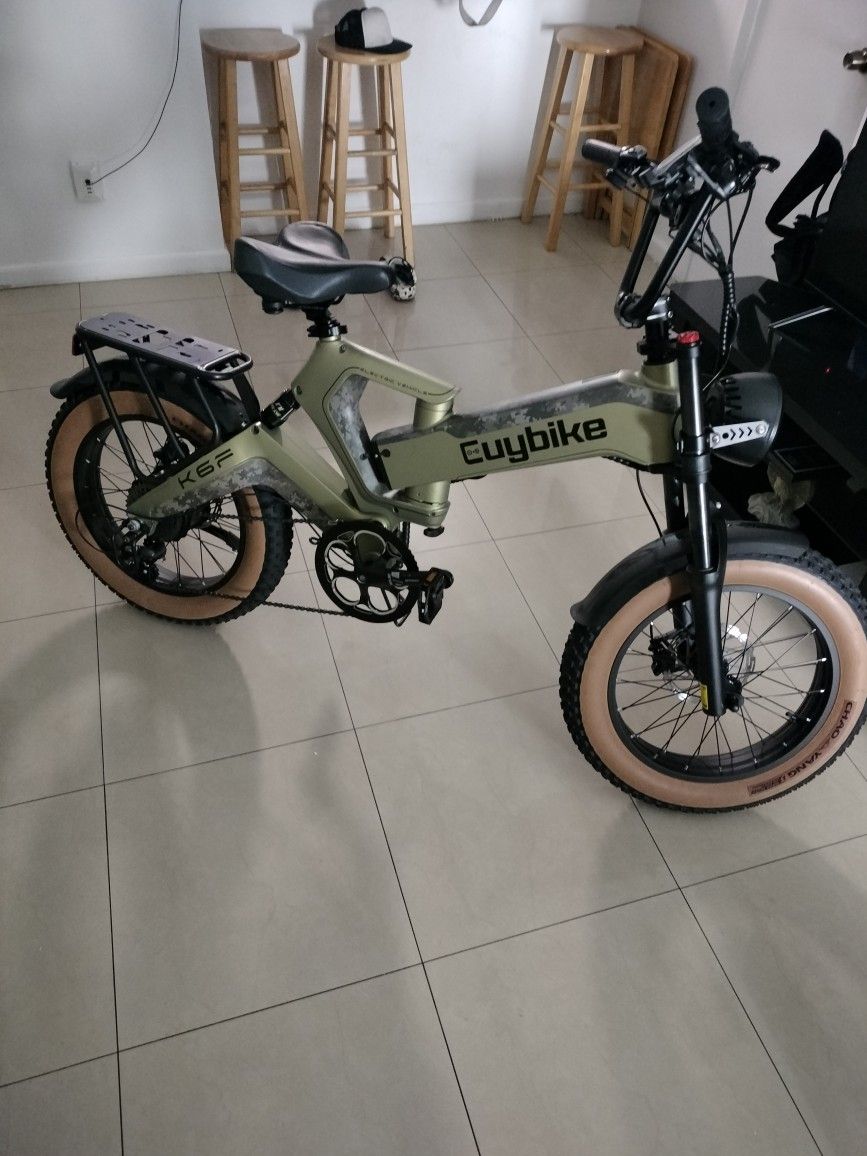 Electric Bike