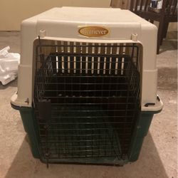Dog Kennel