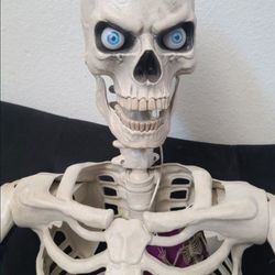 5ft Skeleton