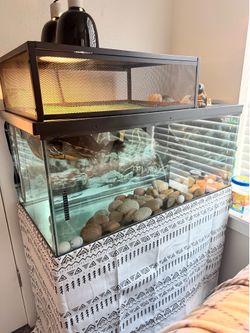 40 gallon breeder tank with fluval FX4 canister filter