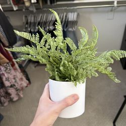 $5
