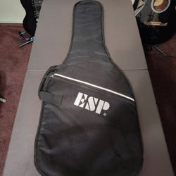 ESP ELECTRIC GUITAR COVER