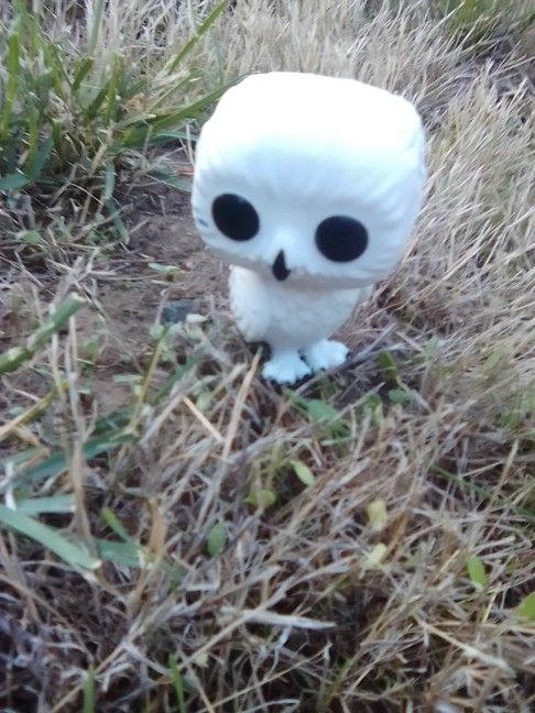 Harry Potter Funko Pop (Hedwig)