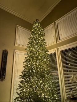 Christmas Tree w/ Lights, 12 Ft