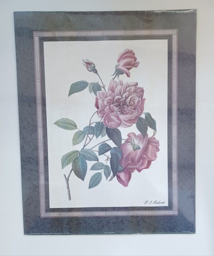 Accento Crafts Frameless Print By Pierre-Joseph Redouté, 16"x20"