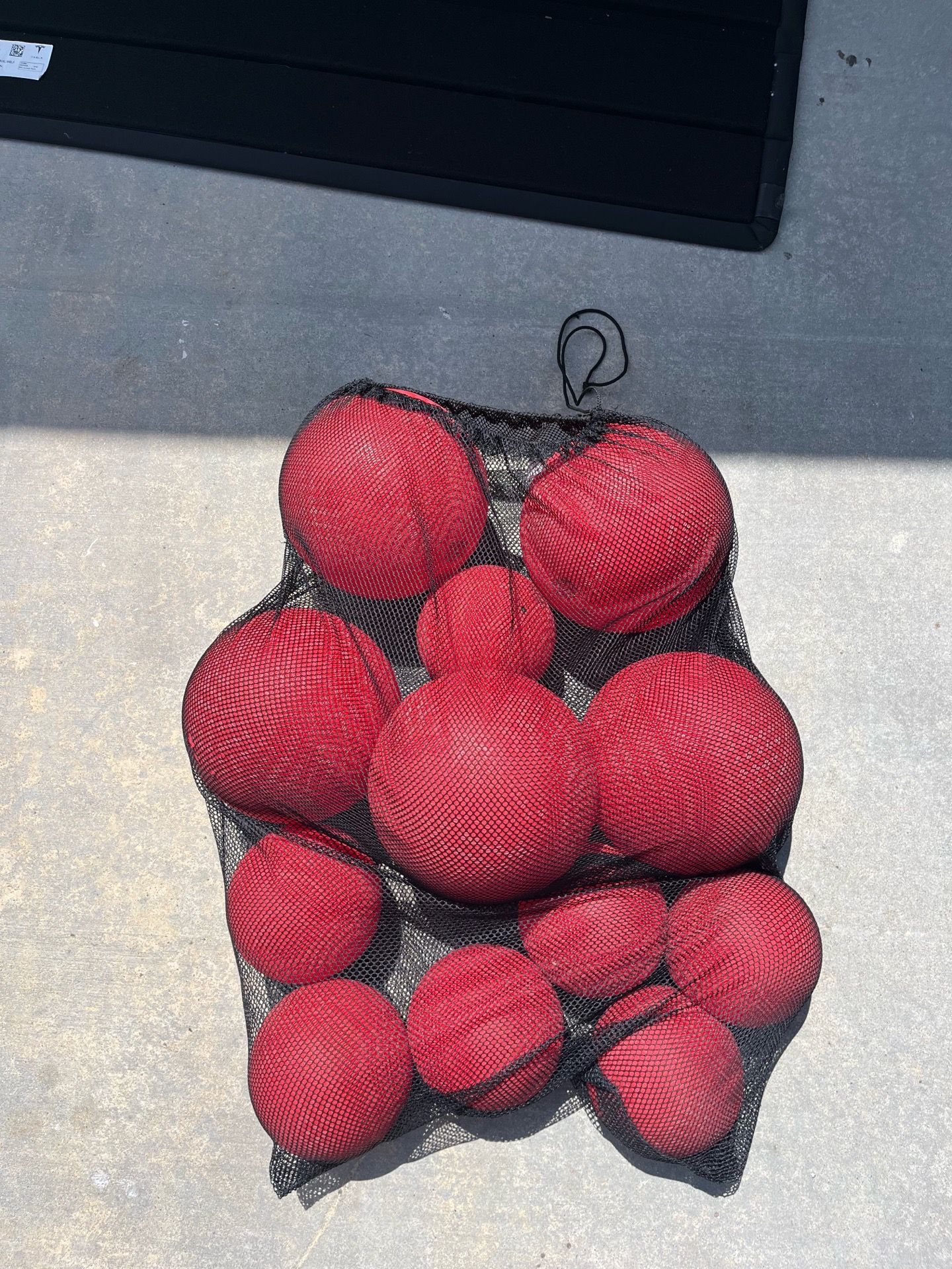 12 Assorted Playground Balls / Dodgeballs + Mesh Bag