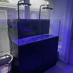 Waterbox 65.4 Gallons Saltwater Aquarium Fish Tank