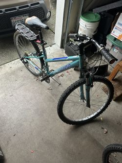 Schwinn Frontier Bike 21