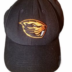 Youth Top of the World Oregon State Beavers True l snapback hat cap  Flat Bill