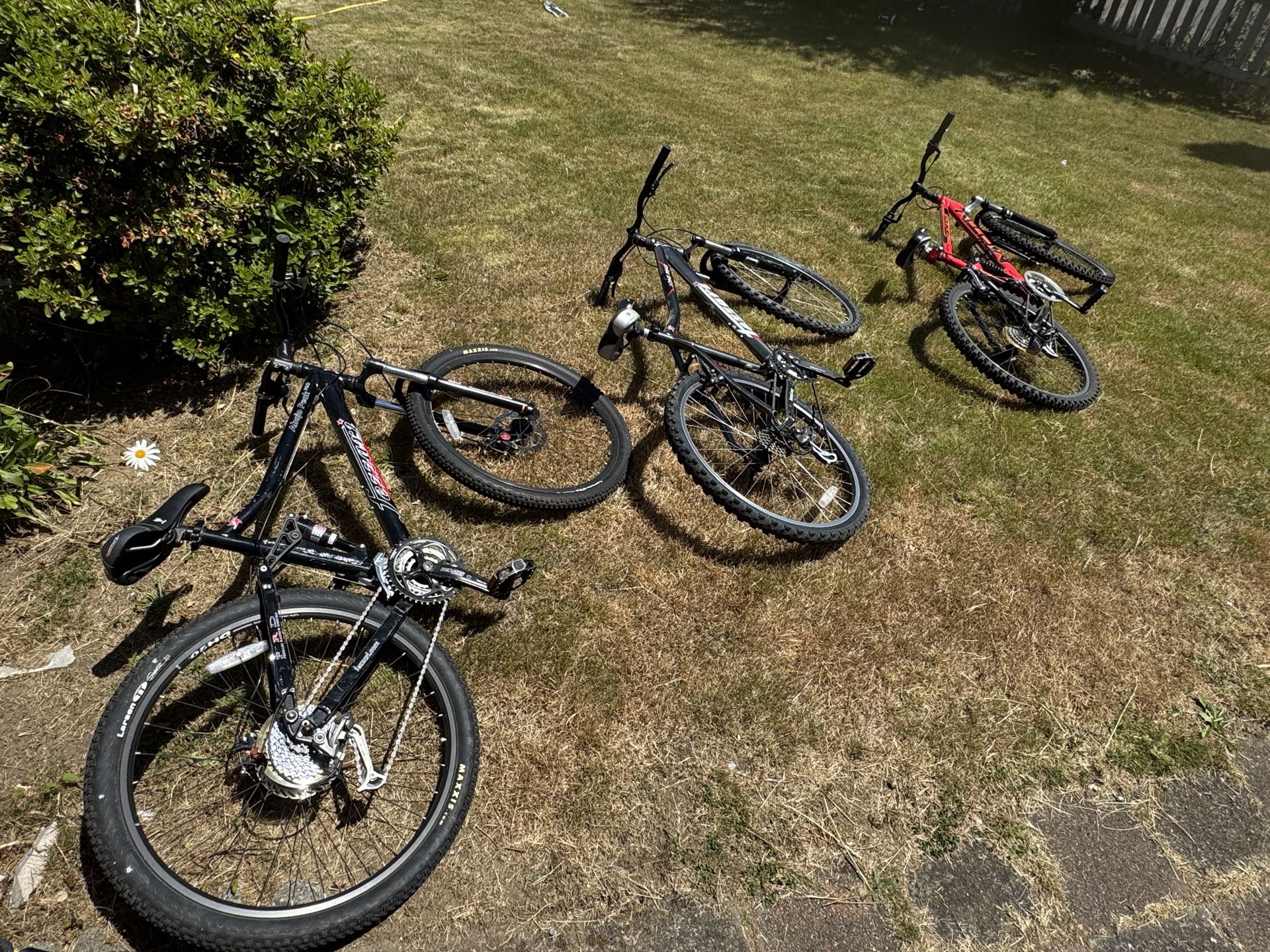 3 Mountain Bikes