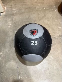 25 LB Wall Ball