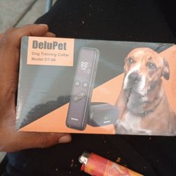 Dog Trainer Collar 