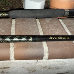 2 Saltwater rods 