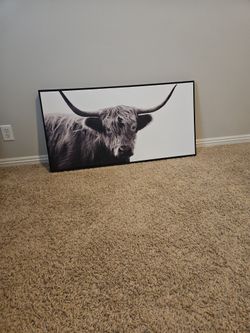 Cow Picture 