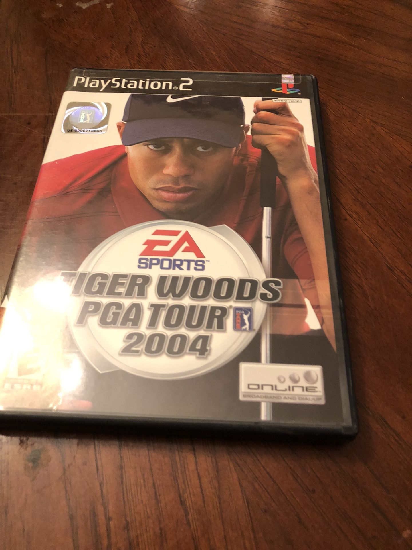 Tiger Woods PGA Tour 2004