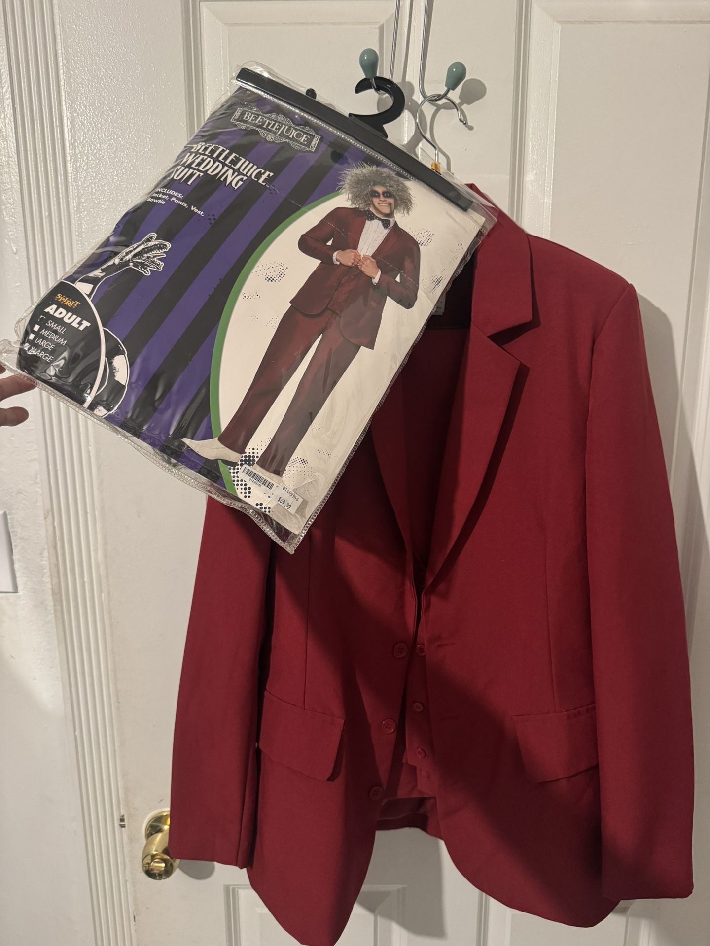 Halloween  Beetlejuice Costume 