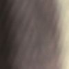 Brianna