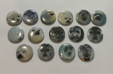 Silly seals pins