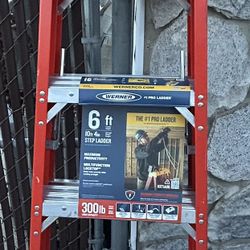 Werner 6Ft Ladder 