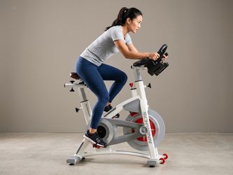 Schwinn AC Performance Plus Indoor Cycle Bike
