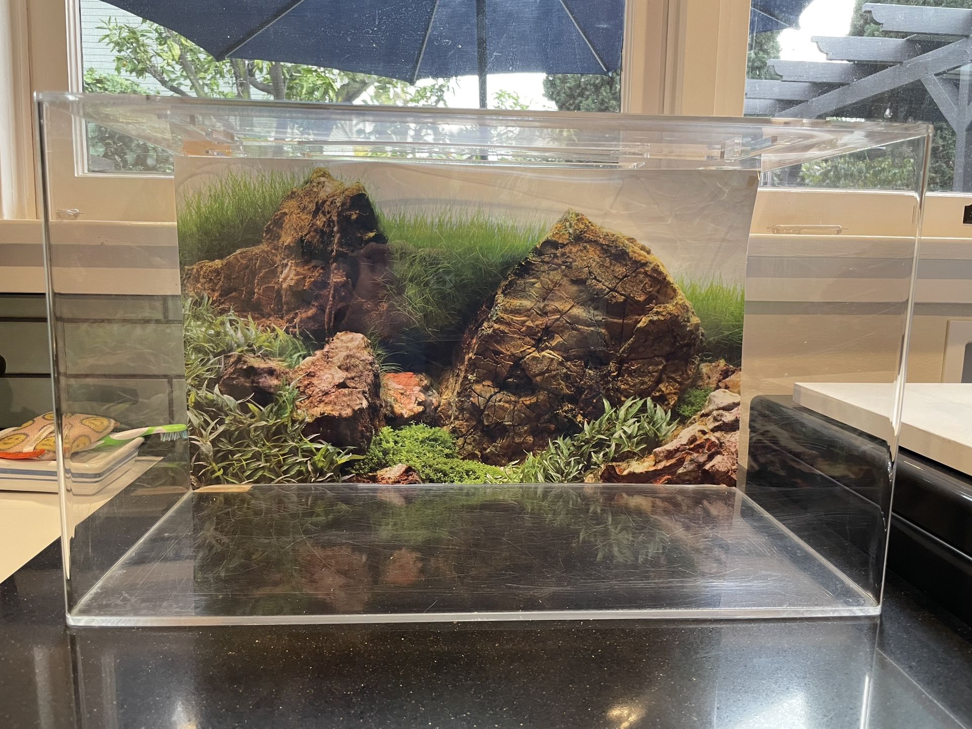 10 Gal Aquarium + SpongeBob Decorations.