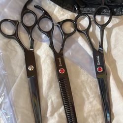 Equipo De Tijeras Profesionales De Titanium Para Dog Griming . Entregó Afuera Walmart Edgmere Y Zaragoza 