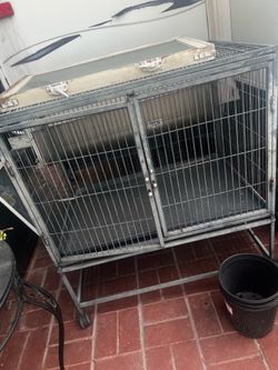Cage / jaula