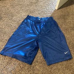 Vintage Blue Nike Shorts Size Large