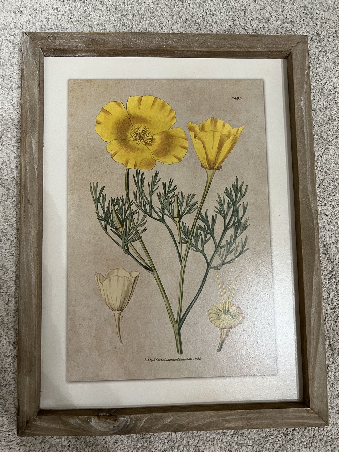 Floral Art Home Decor