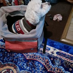 Dog Or Cat Bike Basket And Carrier