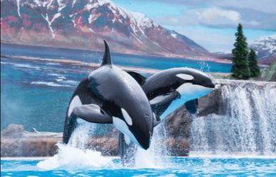 Seaworld Tickets valid until June 21