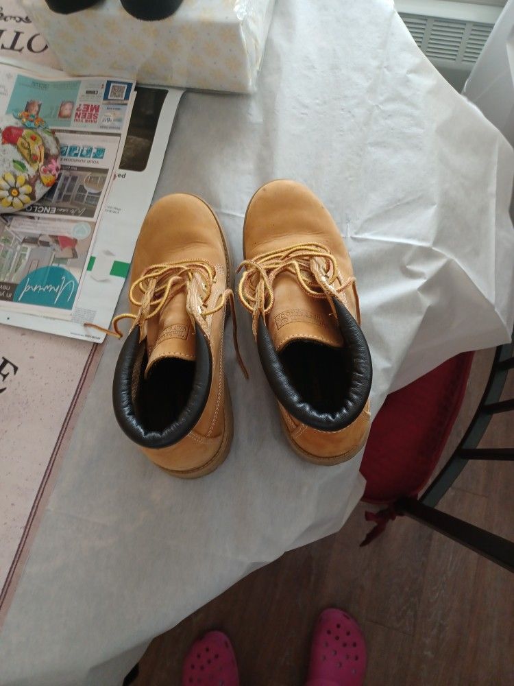 Women's Timberland
