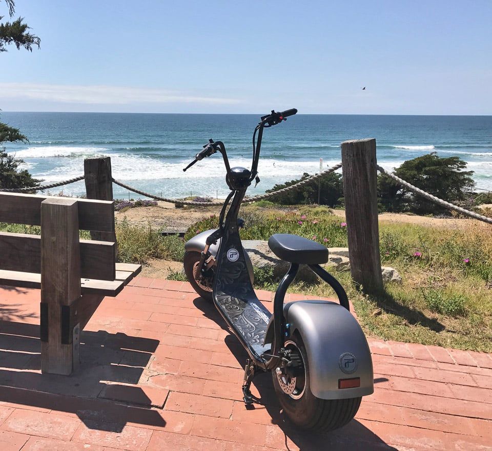 PHAT BIKE ELECTRIC SCOOTER (New)