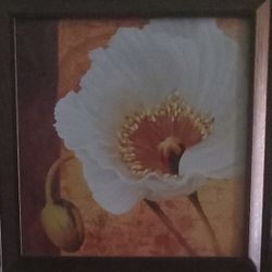 ORCHID PIC FRAME 