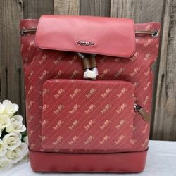 Coach C4135 tuner bag (Last min gift)