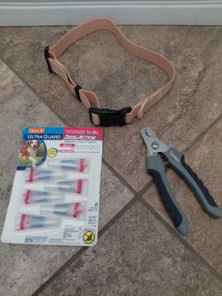Dog items
