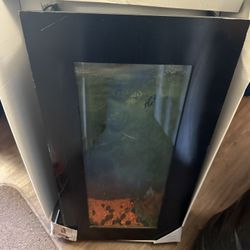 WALL FISH TANK 