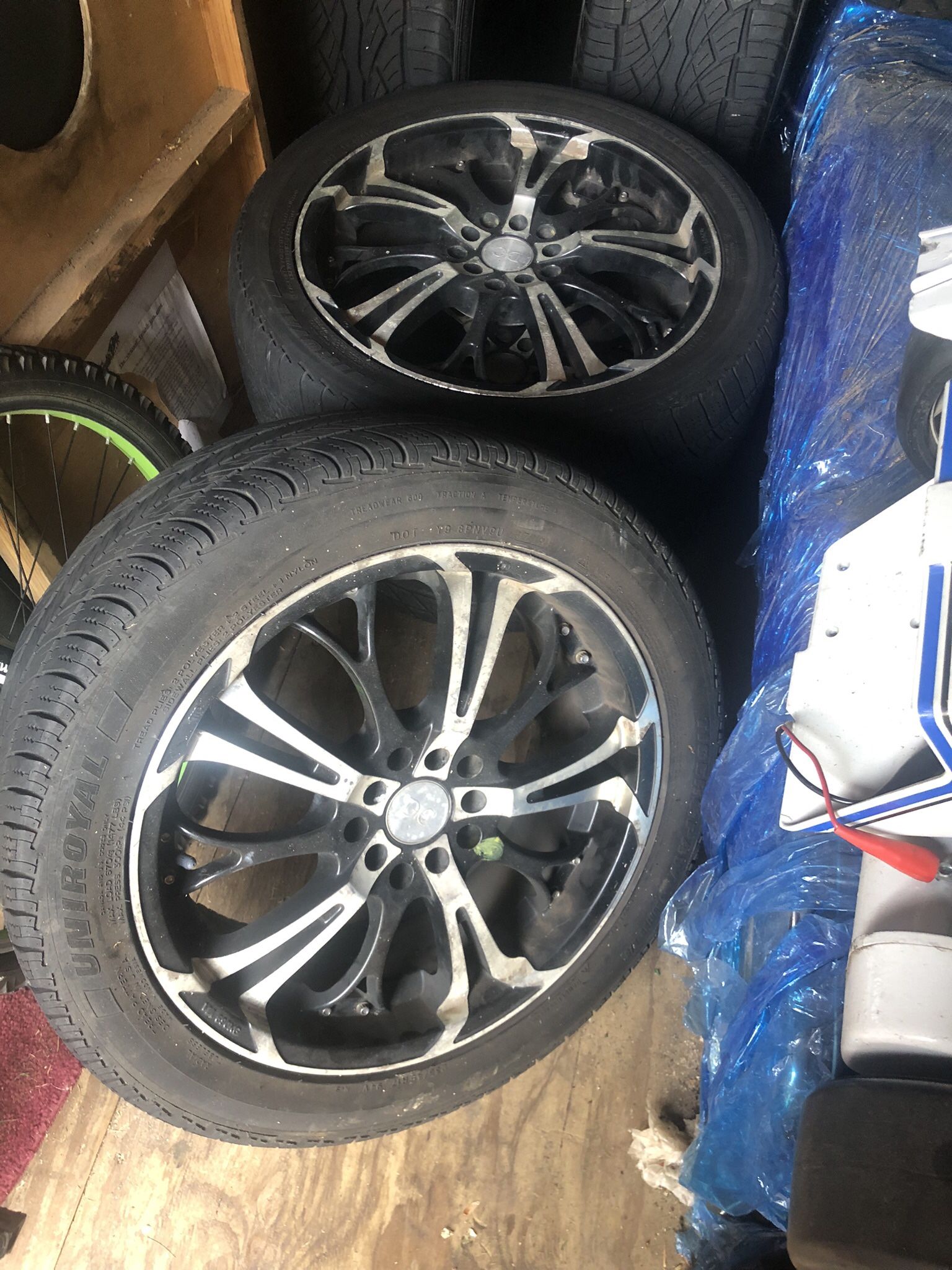 17 Rims 