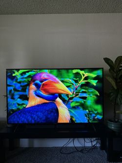 65” Sony Bravia 4K 
