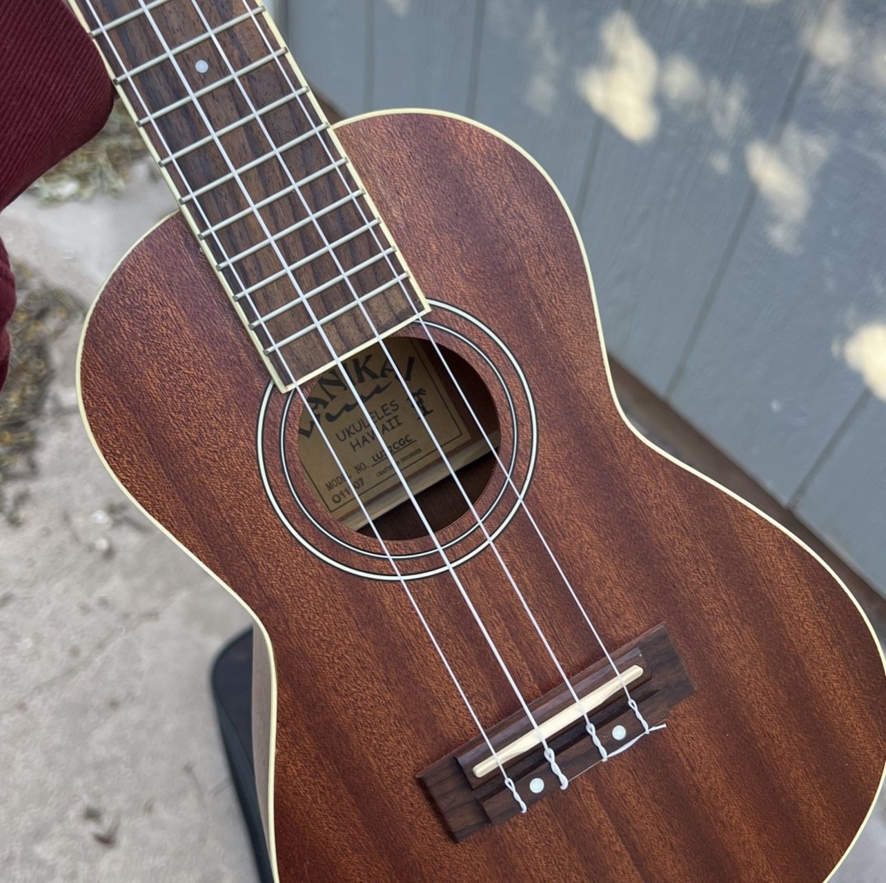 Ukulele With Case