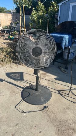 Fan